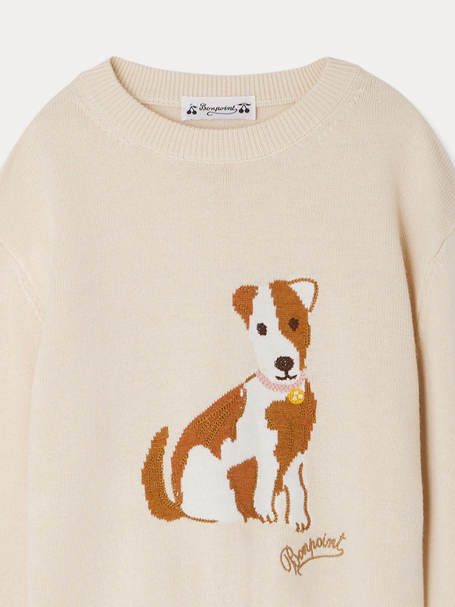 Pull Anumati a motif chien Bonpoint